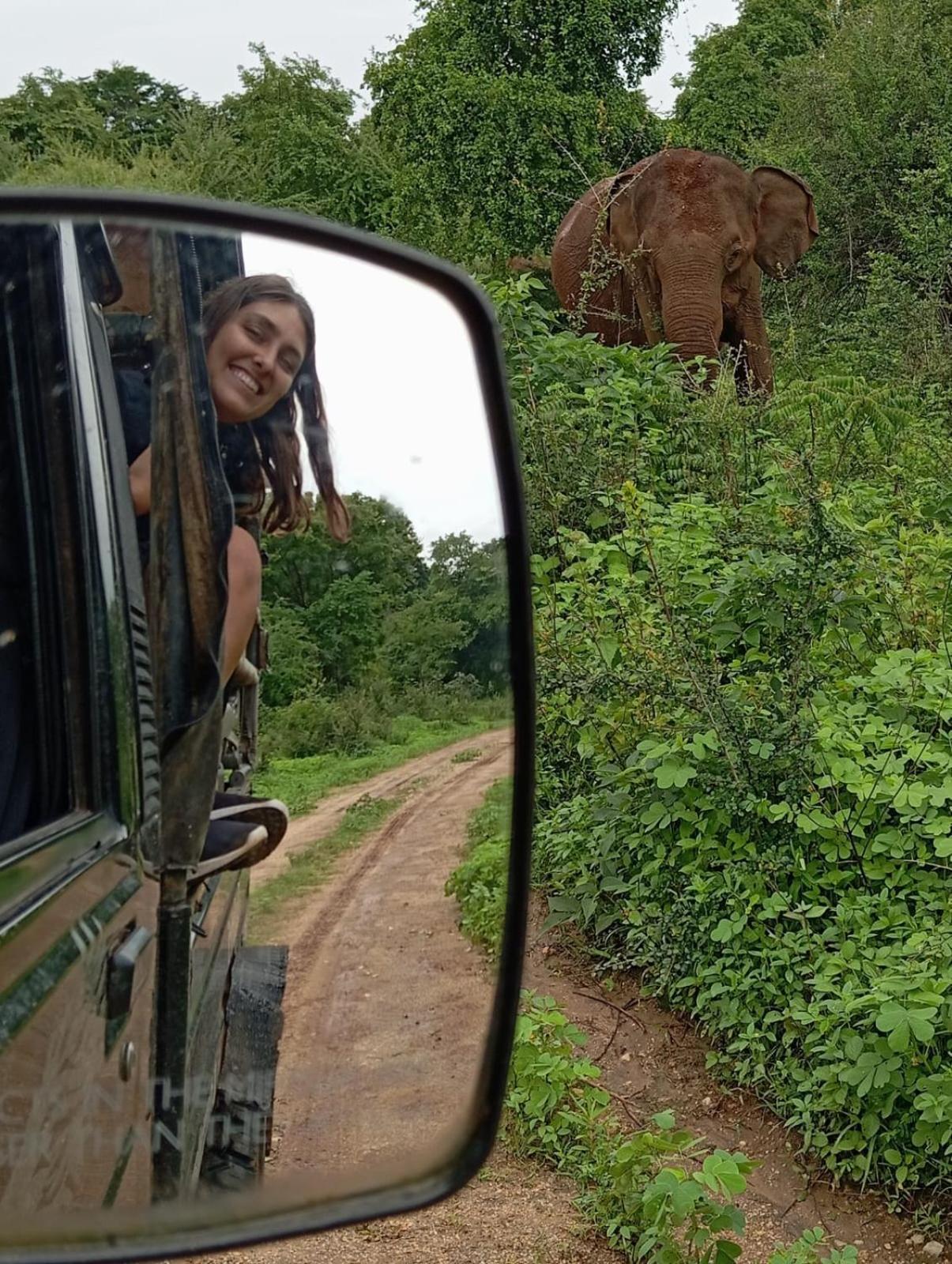 White Rose Safari Home Stay Udawalawe Buitenkant foto