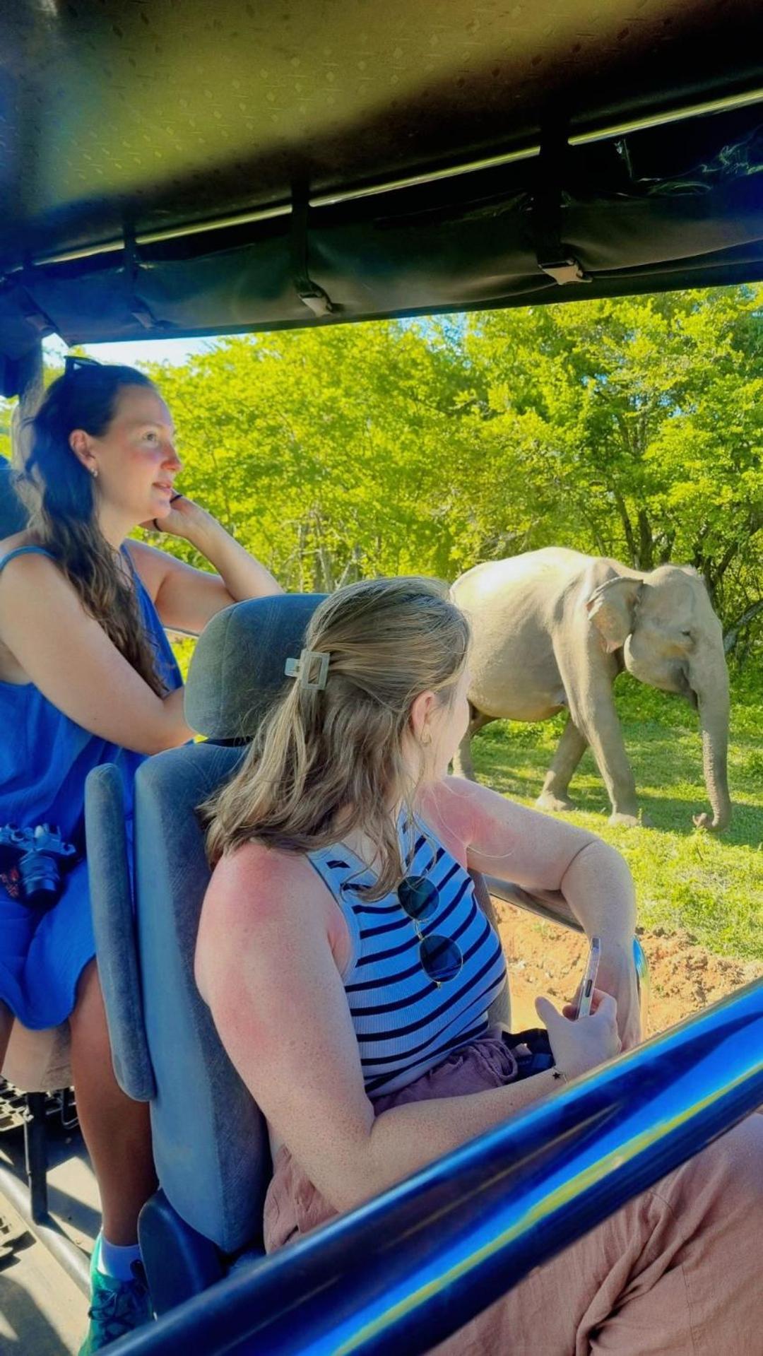 White Rose Safari Home Stay Udawalawe Buitenkant foto