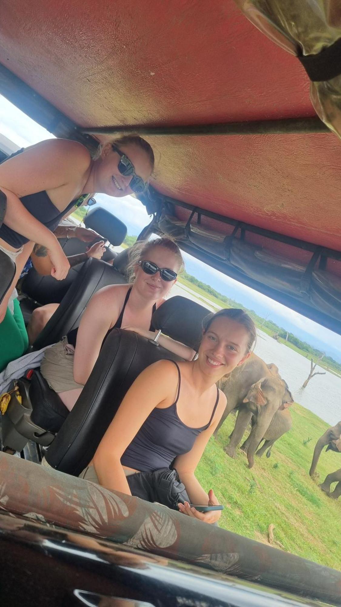 White Rose Safari Home Stay Udawalawe Buitenkant foto