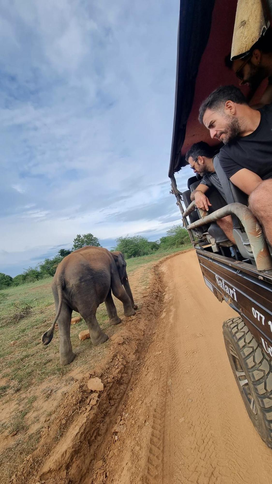 White Rose Safari Home Stay Udawalawe Buitenkant foto