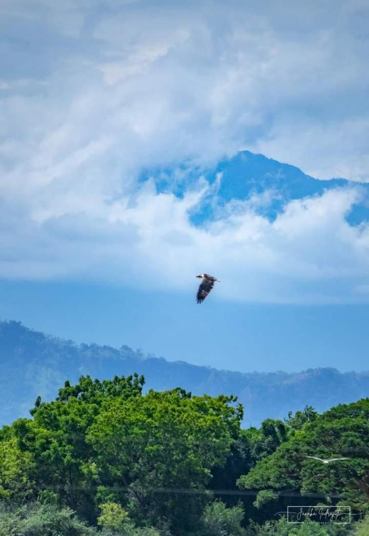 White Rose Safari Home Stay Udawalawe Buitenkant foto